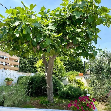 Bua - Beautiful Seafront