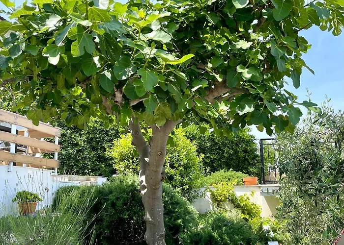 Bua - Beautiful Seafront